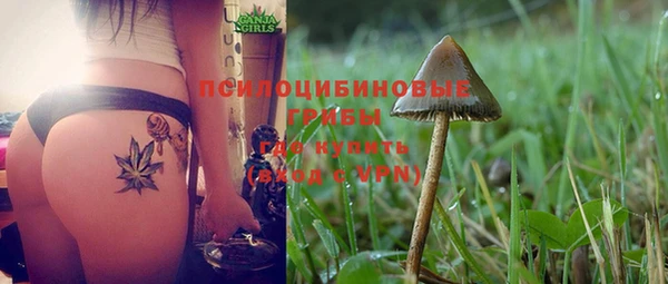 MDMA Горнозаводск