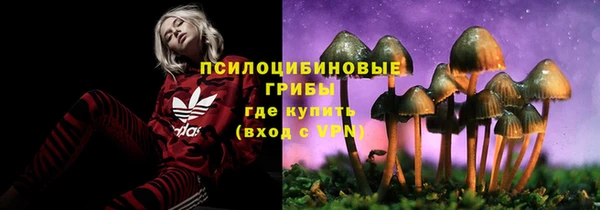 экстази Горняк