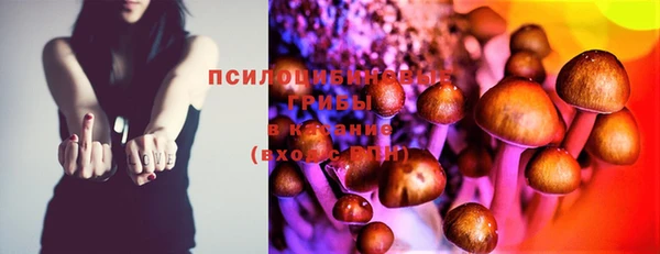 экстази Горняк