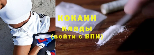 соль ск Горно-Алтайск