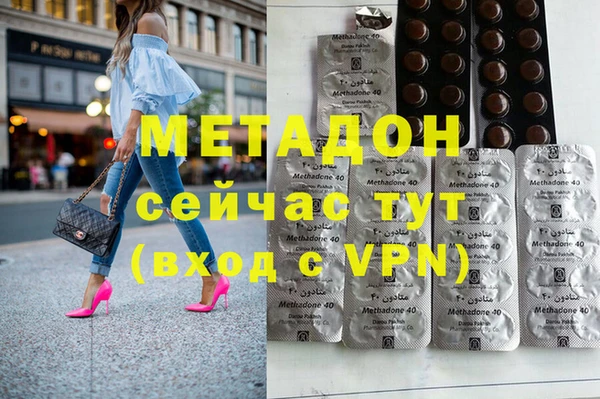 прущие грибы Вязьма