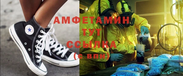 прущие грибы Вязьма