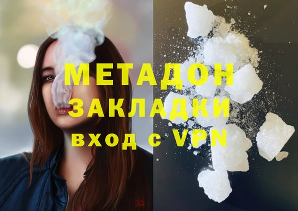 прущие грибы Вязьма