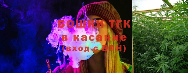 прущие грибы Вязьма