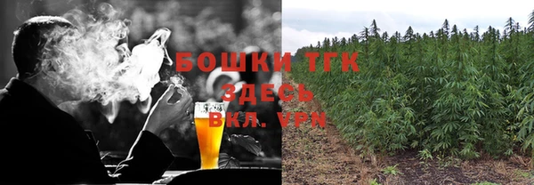 экстази Горняк