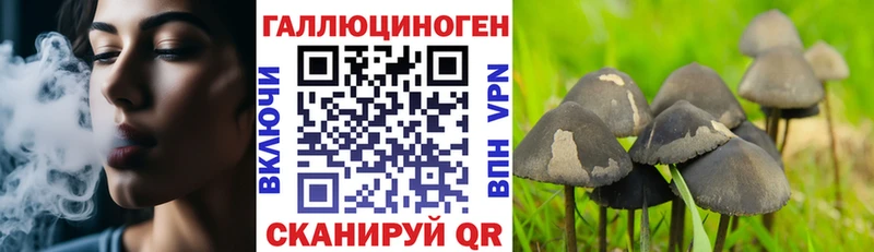 Купить закладки  Чухлома  Псилоцибиновые грибы MAGIC MUSHROOMS 